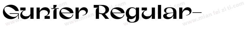 Gunter Regular字体转换